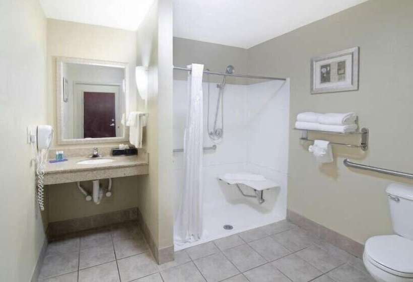 장애인을 위한 스위트, Comfort Suites Mobile South Alabama University Area