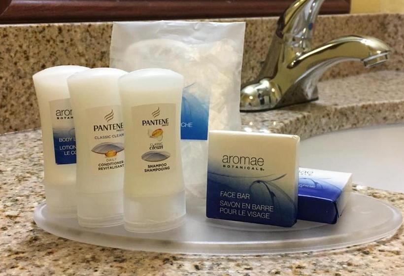 스탠다드 룸 더블 침대 2개, Best Western Lawrenceburg Inn