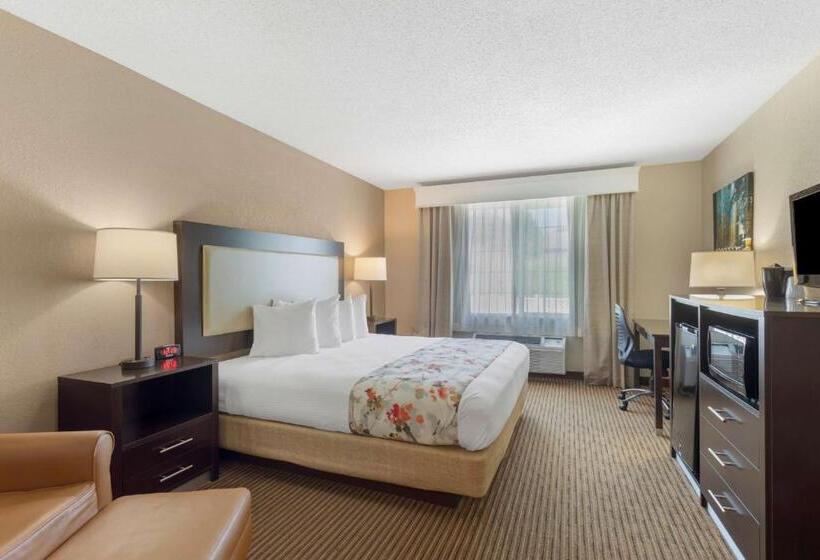 스탠다드 룸 킹사이즈 침대, Best Western Lawrenceburg Inn