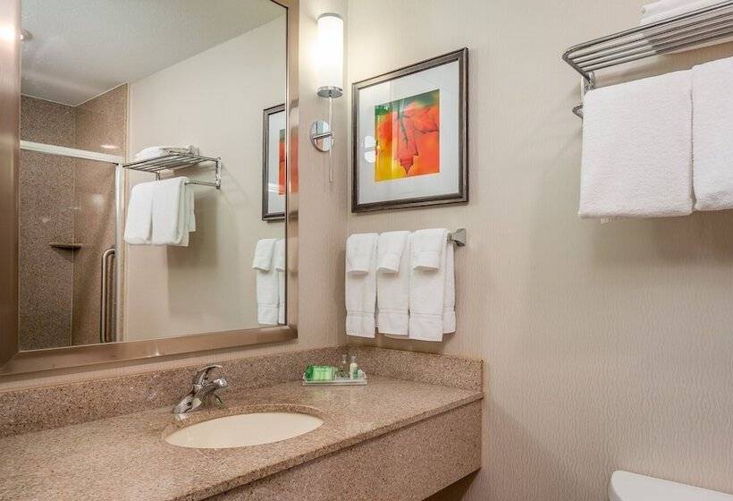 스탠다드 룸, Holiday Inn Stevens Point   Convention Center, An Ihg