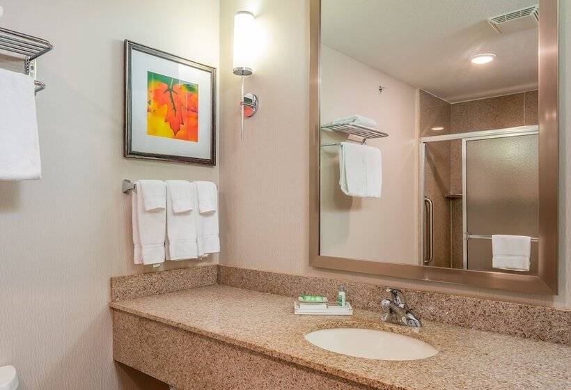 스위트, Holiday Inn Stevens Point   Convention Center, An Ihg