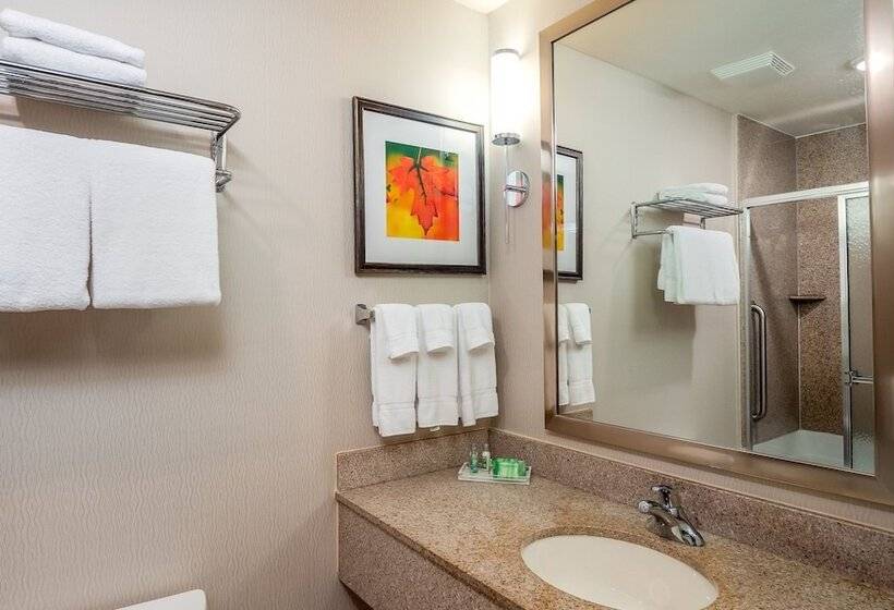 프리미엄 룸, Holiday Inn Stevens Point   Convention Center, An Ihg