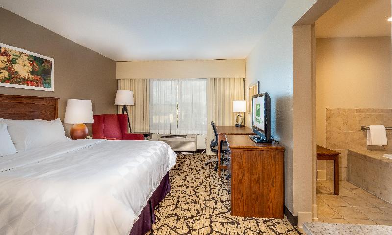 스위트 킹사이즈 침대, Holiday Inn Stevens Point   Convention Center, An Ihg