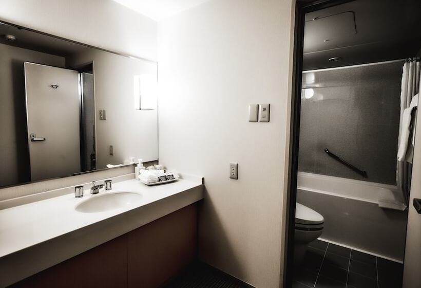 Номер Basic, Oarks Canal Park Hotel Toyama