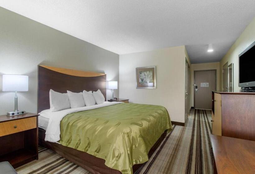 스탠다드 룸 킹사이즈 침대, Quality Inn I81 Exit 23