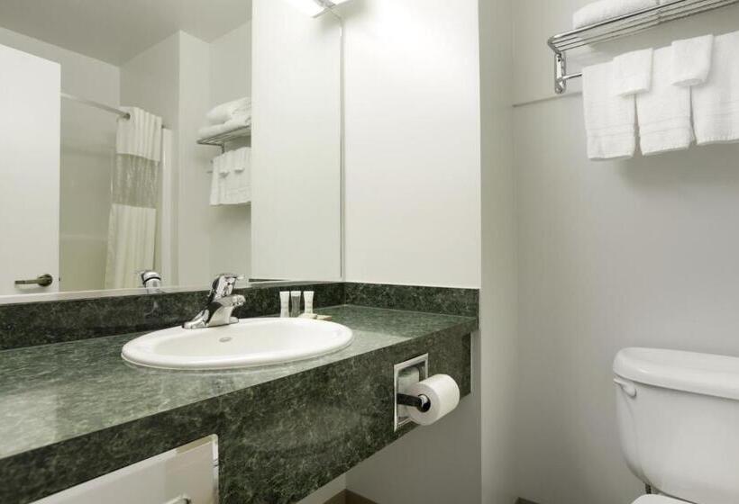 استودیوی استاندارد, Super 8 By Wyndham Central Pt Medford
