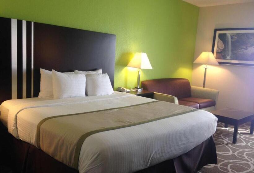 Номер Стандарт Кровать Кинг Адаптированный для Инвалидов, Best Western Lake Cumberland Inn
