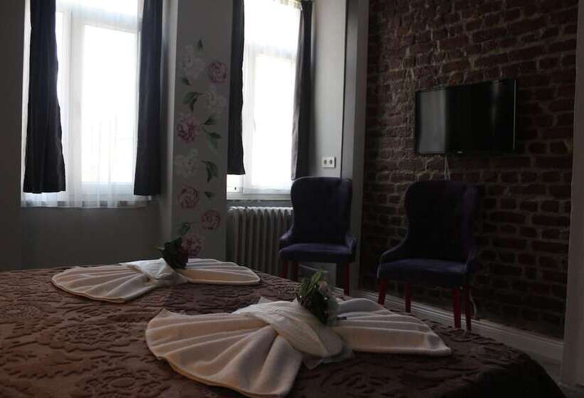 スタンダードスタジオ, Taksim Hostel Green House Istanbul