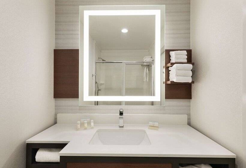 스탠다드 룸 킹사이즈 침대, Hilton Garden Inn Oxford/anniston
