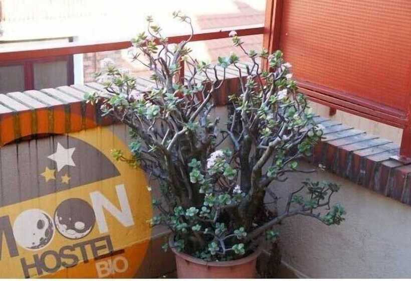 اتاق استاندارد, Moon Hostel Bio