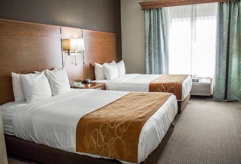 스위트, Comfort Suites Hotel And Conference Center