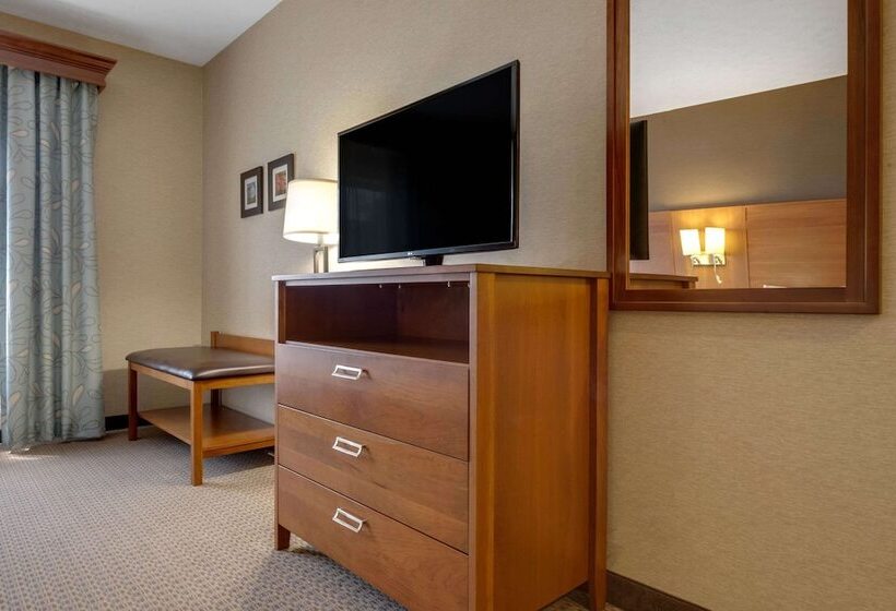 스위트, Comfort Suites Hotel And Conference Center