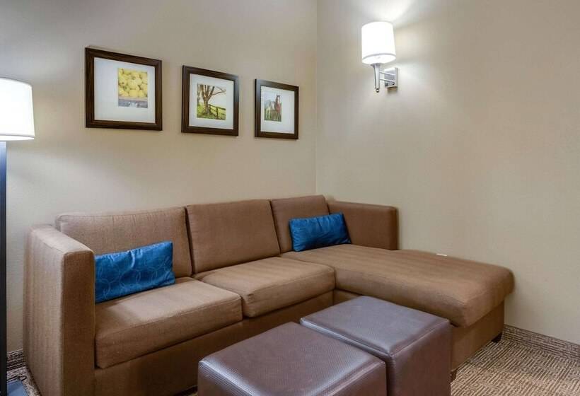 주니어 스위트, Comfort Suites Hotel And Conference Center