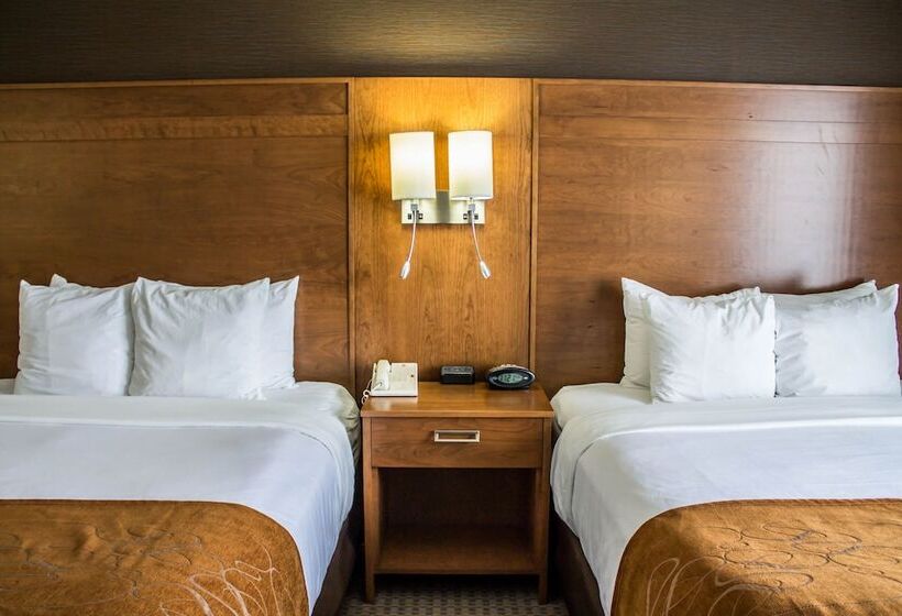 스위트, Comfort Suites Hotel And Conference Center