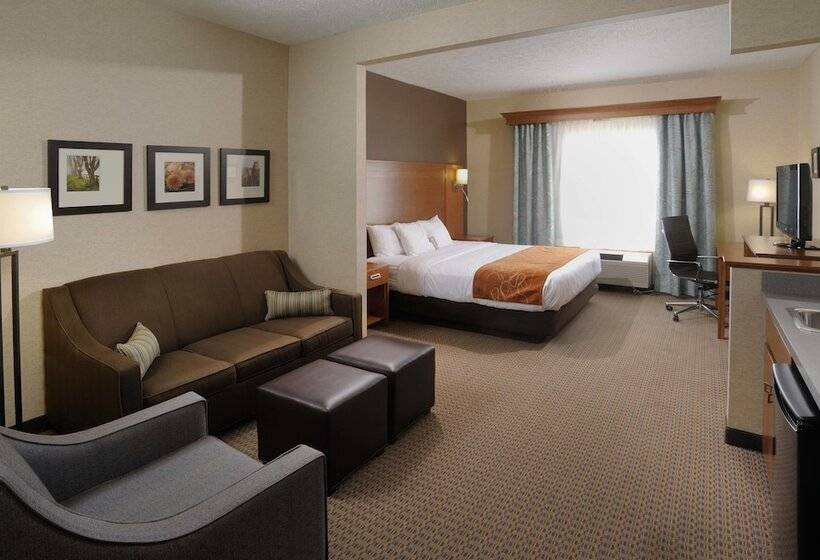 스위트, Comfort Suites Hotel And Conference Center