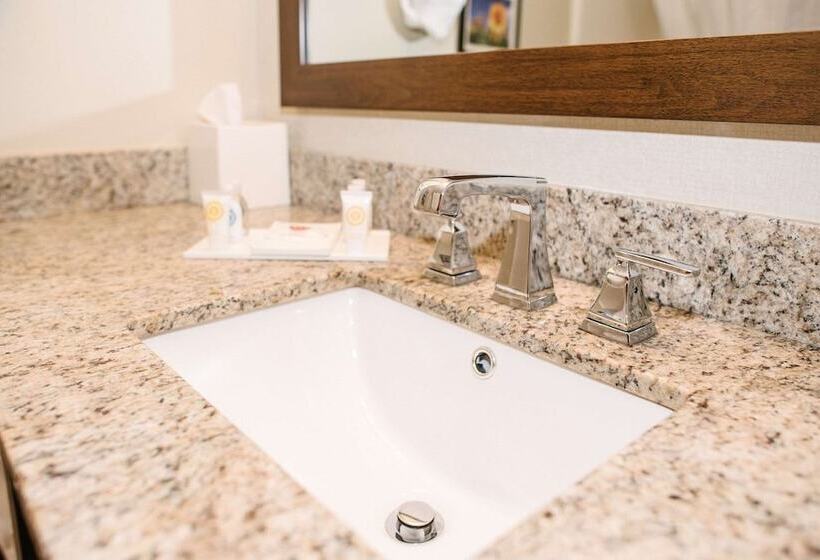 Люкс, Comfort Inn & Suites