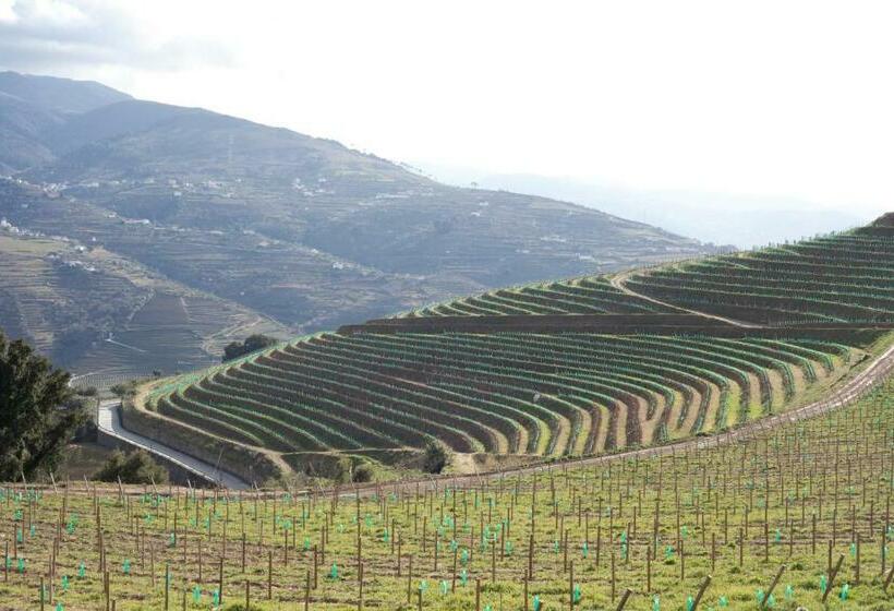 חדר סופריור, Douro Scala