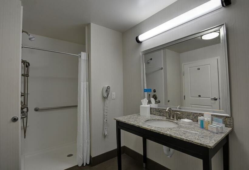 חדר סטודיו סטנדרד, Hampton Inn & Suites Denver/airportgateway Park