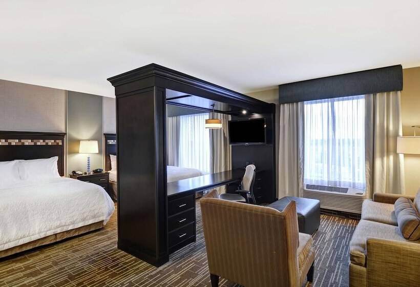חדר סטודיו סטנדרד, Hampton Inn & Suites Denver/airportgateway Park