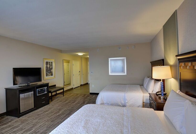 장애인을 위한 스탠다드 룸, Hampton Inn & Suites Denver/airportgateway Park