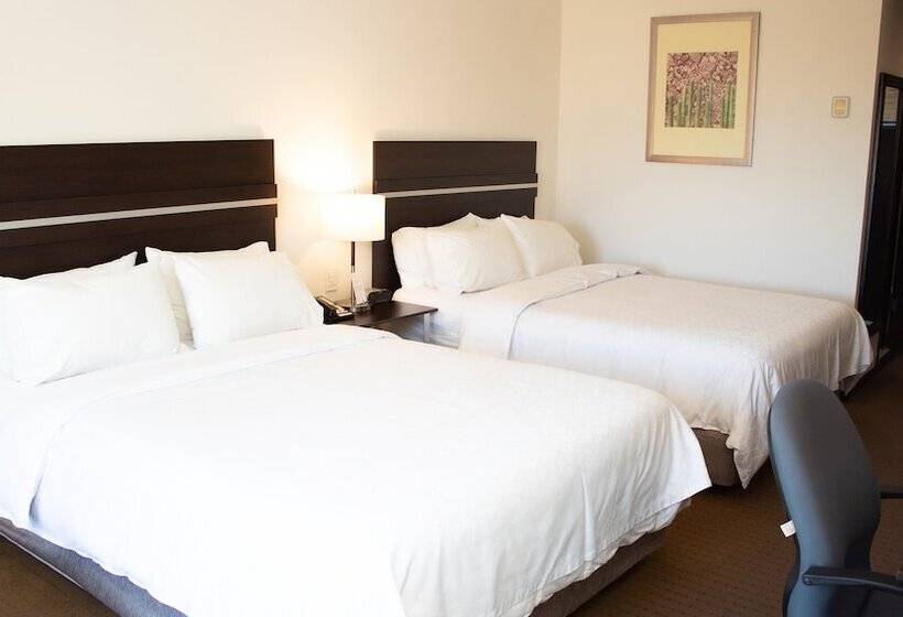 اتاق استاندارد با 2 تخت دوبل, Holiday Inn Express Guaymas, An Ihg