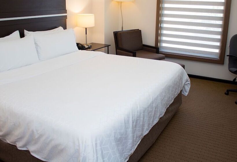 اتاق استاندارد, Holiday Inn Express Guaymas, An Ihg