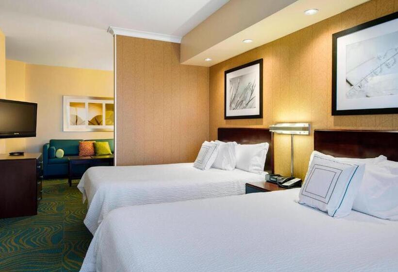 استودیوی استاندارد, Springhill Suites By Marriott Omaha East, Council Bluffs, Ia