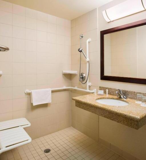 استودیو استاندارد با تخت کینگ, Springhill Suites By Marriott Omaha East, Council Bluffs, Ia
