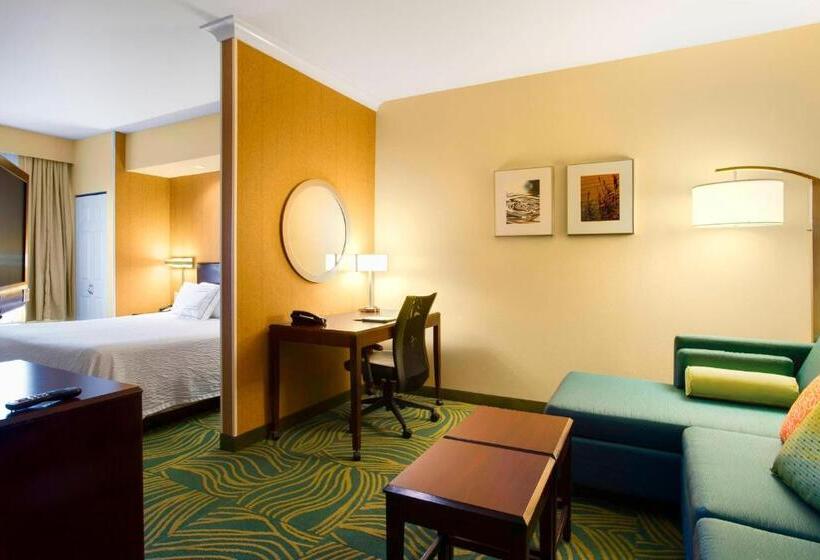 استودیو استاندارد با تخت کینگ, Springhill Suites By Marriott Omaha East, Council Bluffs, Ia