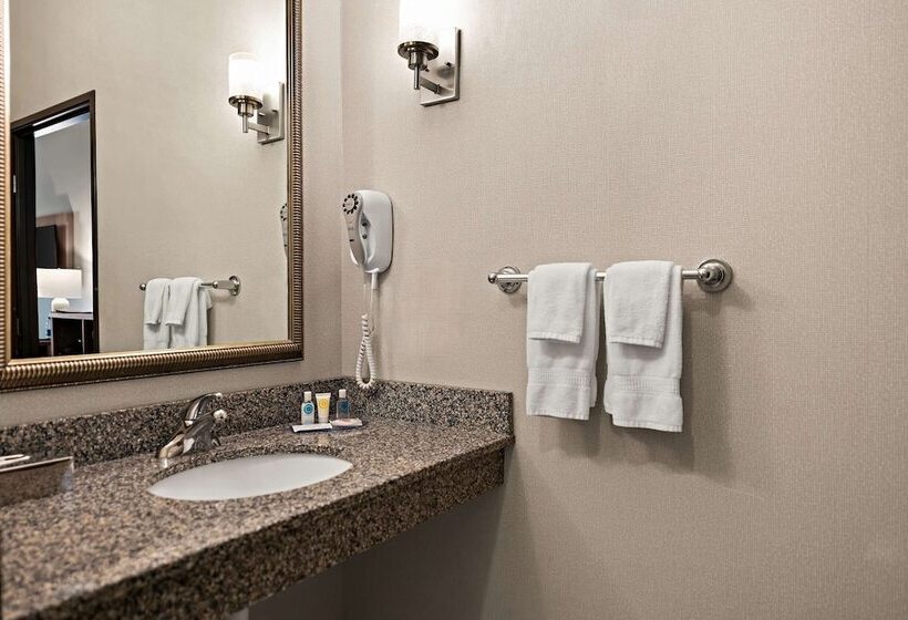 Люкс Адаптированный для Инвалидов, Comfort Suites Hudson I94