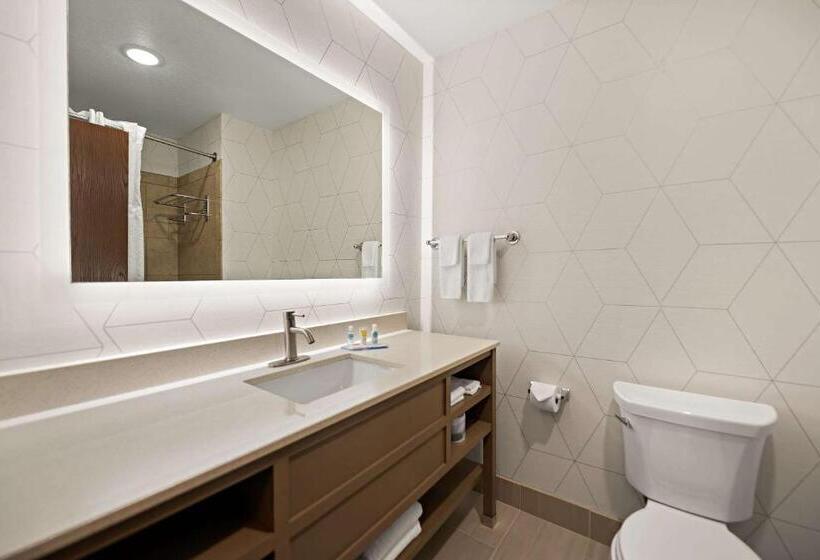 Люкс Кровать Кинг, Comfort Suites Hudson I94
