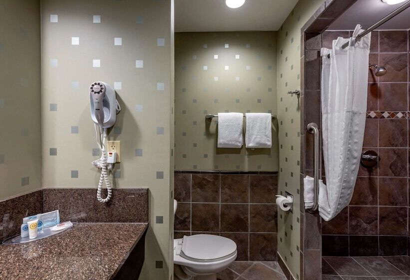 Люкс, Comfort Suites Perrysburg  Toledo South