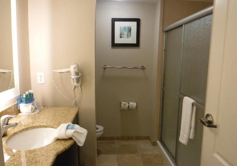 스탠다드 룸 킹사이즈 침대, Holiday Inn Express West Jefferson, An Ihg