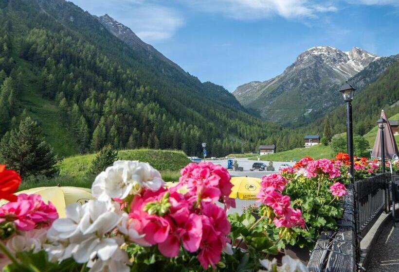 Номер Стандарт, Hôtel Cristal   Swiss Riders Lodge Grimentz