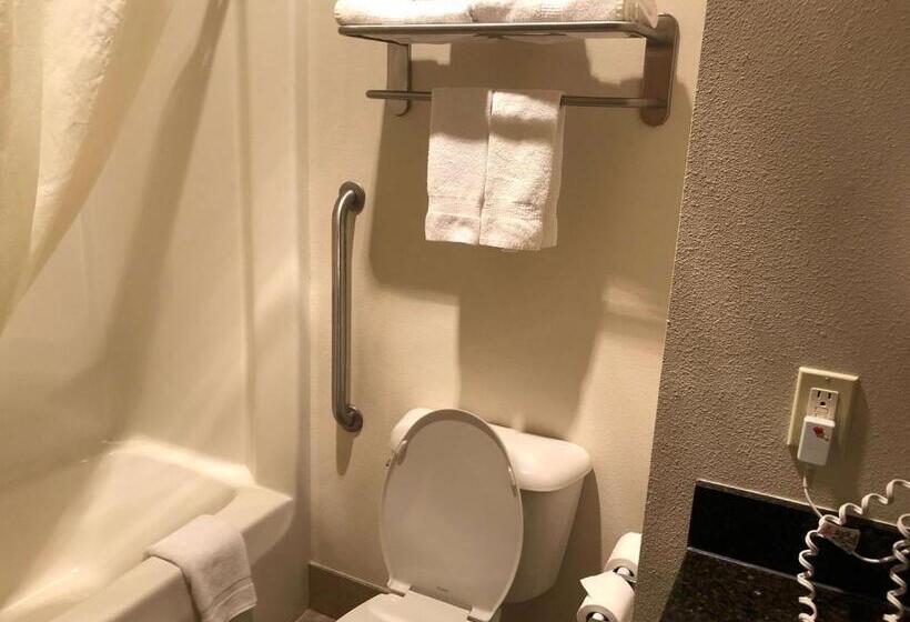 Номер Стандарт, Best Western Plover Stevens Point Hotel & Conference Center