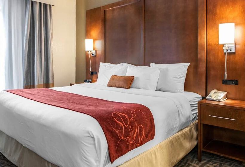 Люкс, Comfort Suites