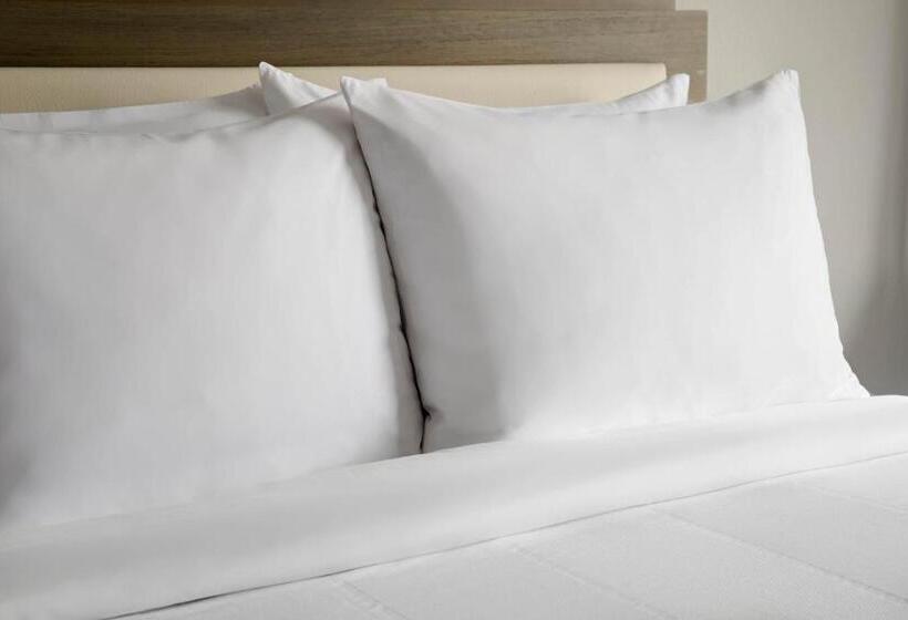 Номер Стандарт, Fairfield Inn & Suites By Marriott Boston Milford