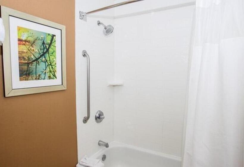 Номер Стандарт Кровать Кинг Адаптированный для Инвалидов, Fairfield Inn & Suites By Marriott Boston Milford