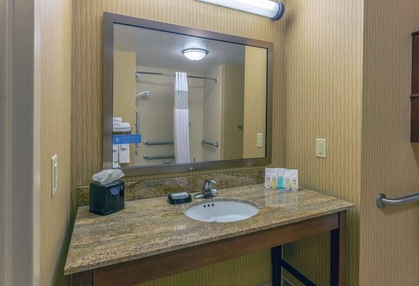스탠다드 룸, Hampton Inn Baltimore/owings Mills