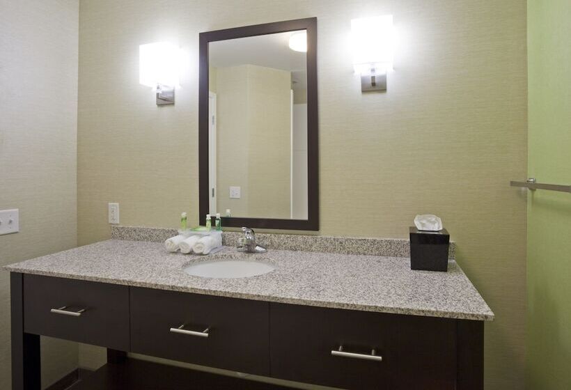 Люкс, Holiday Inn Express Hotel & Suites Rogers, An Ihg