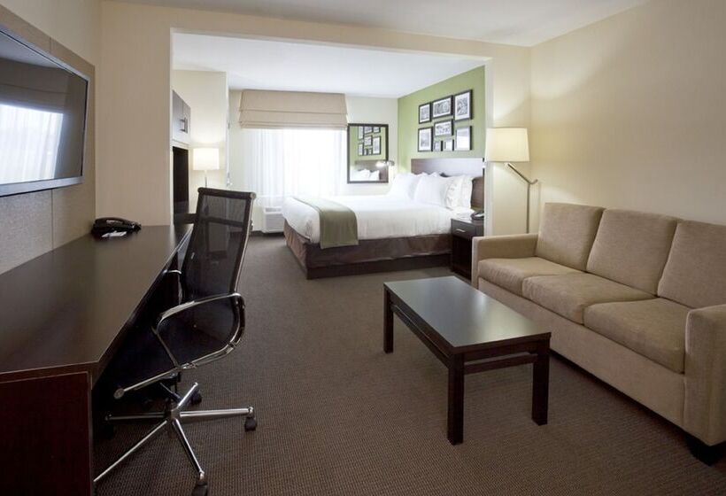 Люкс, Holiday Inn Express Hotel & Suites Rogers, An Ihg