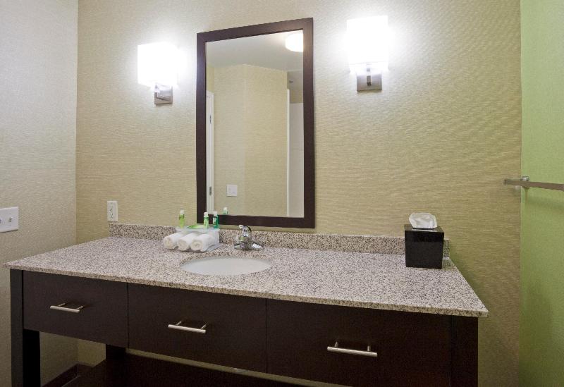 Люкс Кровать Кинг, Holiday Inn Express Hotel & Suites Rogers, An Ihg