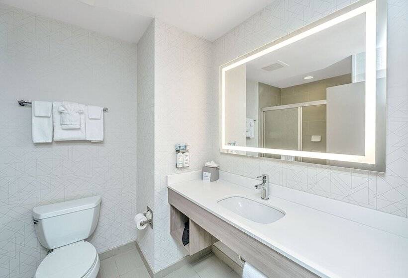 Standard-huone, Holiday Inn Express & Suites Charleston Arpt Conv Ctr Area, An Ihg