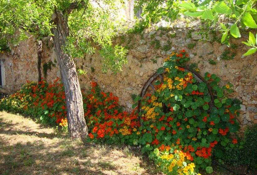 스탠다드 룸, Agroturisme Son Pons
