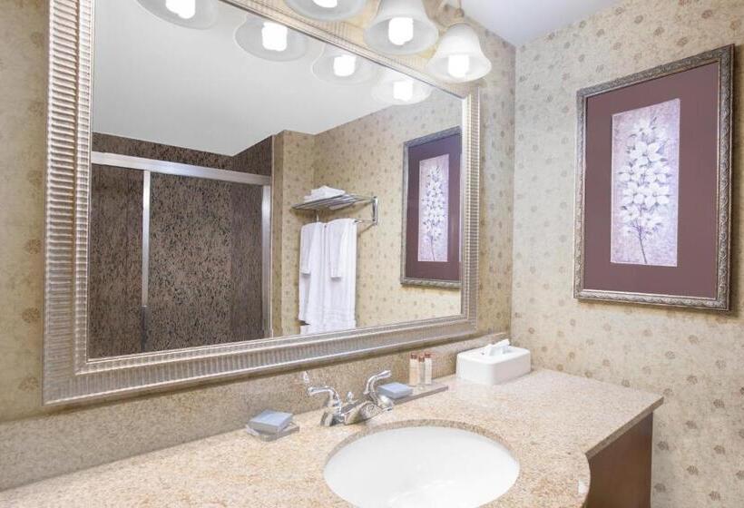 Стандартный Номер Кровать Кинг, Wingate By Wyndham Tuscaloosa