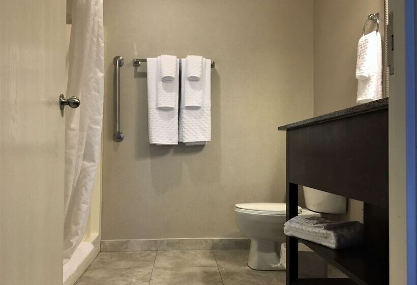 Люкс, Best Western Plus Valdosta Hotel & Suites
