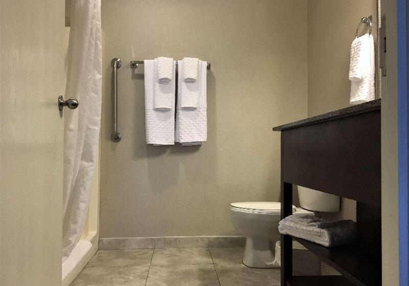 Стандартный Номер Кровать Кинг, Best Western Plus Valdosta Hotel & Suites