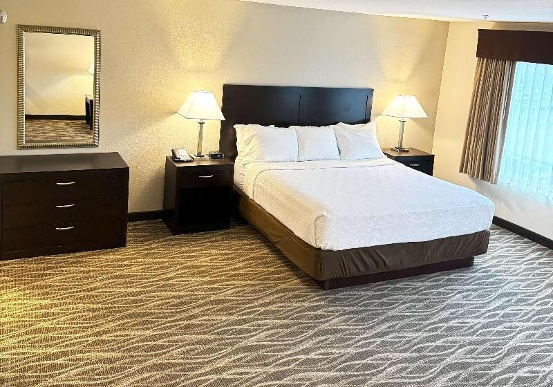 Стандартный Номер Кровать Кинг, Best Western Plus Valdosta Hotel & Suites