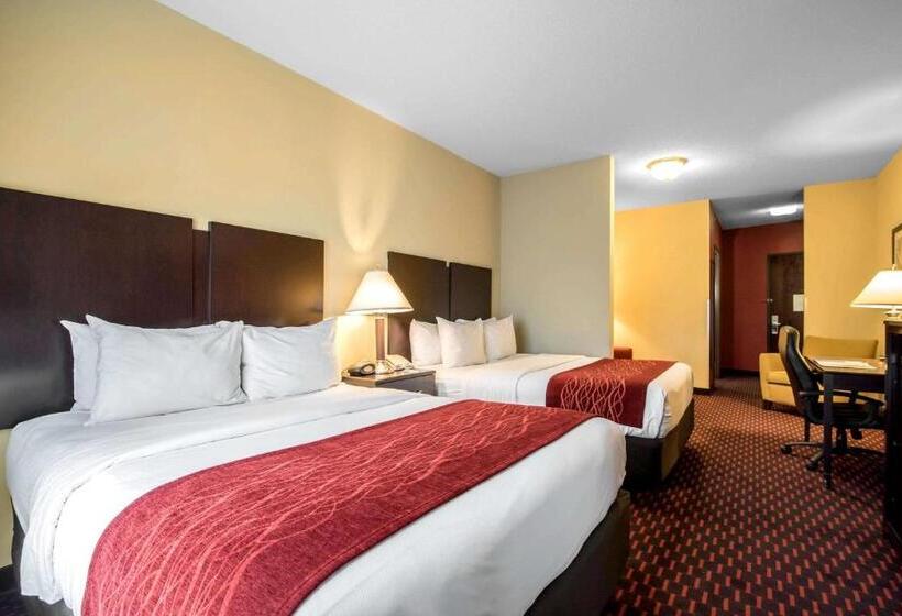 스위트, Comfort Inn & Suites