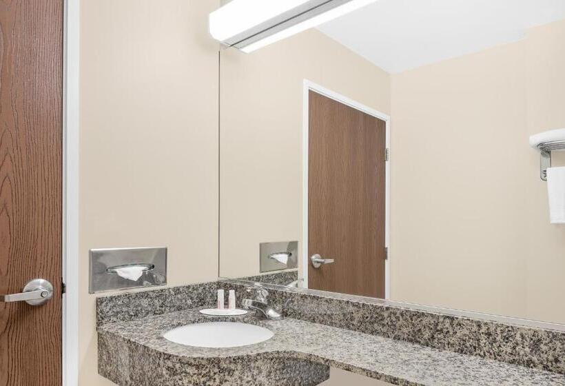 장애인을 위한 스탠다드 룸, Microtel Inn & Suites By Wyndham Waynesburg